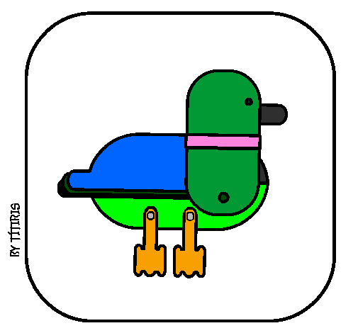 Duck III