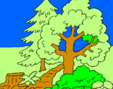 Coloring page Forest painted bysumi
