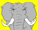 Coloring page African elephant painted bysarah