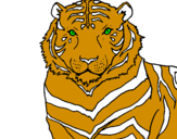 Coloring page Tiger painted byamramr