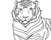 Coloring page Tiger painted bymoty