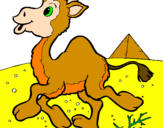 Coloring page Camel painted byamramr