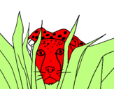 Coloring page Cheetah painted by123.133465 79 465456797*-