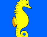 Coloring page Sea horse painted bySEAHORSEY
