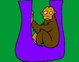 Coloring page Uakari painted byulises
