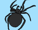 Coloring page Poisonous spider painted byspidy