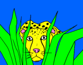 Coloring page Cheetah painted byOliverA