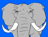 Coloring page African elephant painted byOliverA