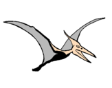 Coloring page Pterodactyl painted byjesus