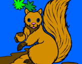 Coloring page Squirrel painted bykendall