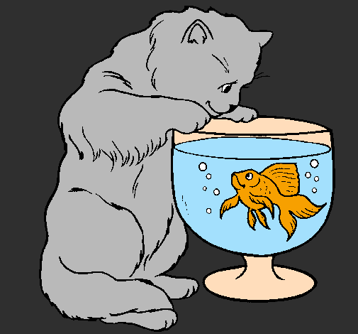 Cat watching fish