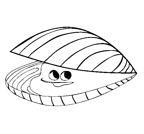 clam coloring pages