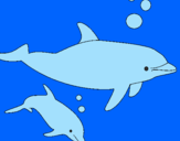 Coloring page Dolphins painted byjamie