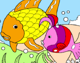 Coloring page Fish painted bymadysan
