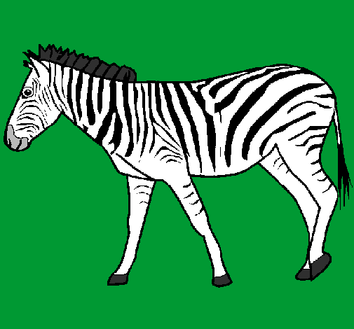 Coloring page Zebra painted bypedro