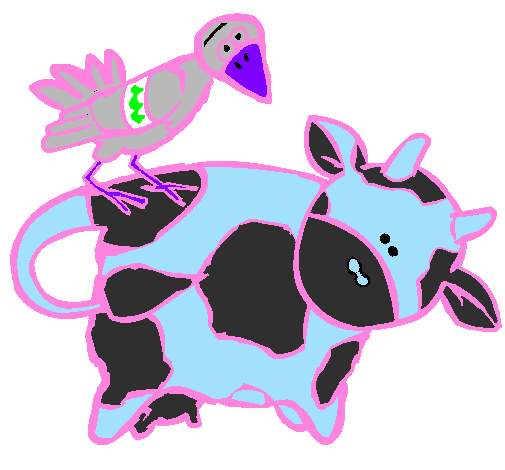 Cow and bird