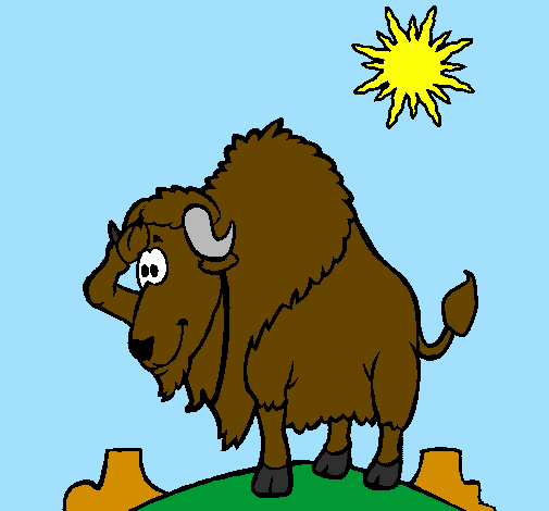 Bison in desert