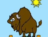 Coloring page Bison in desert painted byBailey
