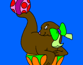Coloring page Seal playing ball painted byRutuja