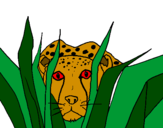 Coloring page Cheetah painted byyola