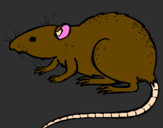 Coloring page Underground rat painted byelian
