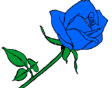Coloring page Rose painted byariana