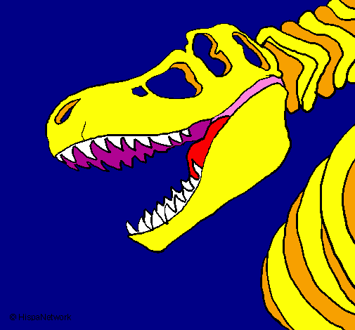 Tyrannosaurus Rex skeleton