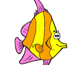 Coloring page Tropical fish painted byguarda  diujo