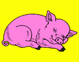 Coloring page Sleeping pig painted byOliver A