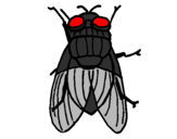 Coloring page Black fly painted bybrad