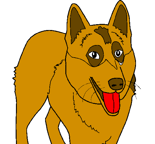 Alsatian dog