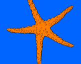 Coloring page Little starfish painted byCandyRules
