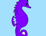 Coloring page Sea horse painted bykelcie