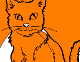 Coloring page Cat painted byanna rose