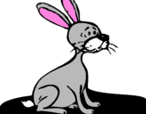 Coloring page Hare painted bygarazi