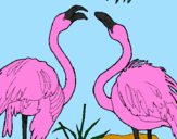 Coloring page Flamingos painted byShiane