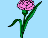 Coloring page Carnation painted byWyatt