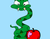 Coloring page Snake and apple painted bytania