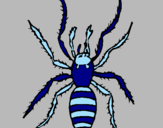 Coloring page Spitting spider painted byscat