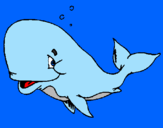 Coloring page Bashful whale painted bymaggie