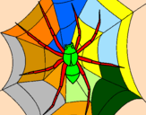 Coloring page Spider painted bybghcuiort