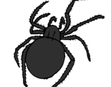 Coloring page Poisonous spider painted byjillian
