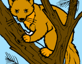 Coloring page Pine marten in tree painted byIratxe