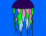 Coloring page Jellyfish painted byll