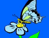 Coloring page Butterfly on flower painted bysusie