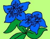Coloring page Flowers painted byMarga