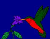 Coloring page Hummingbird and flower painted byladybug