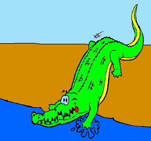 Alligator entering water