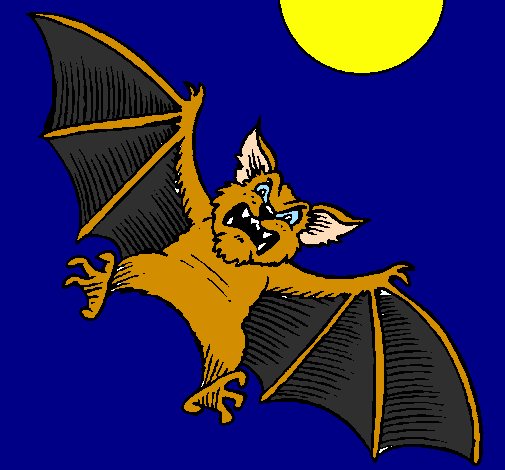 Dog-like bat