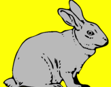 Coloring page Hare painted bybrad